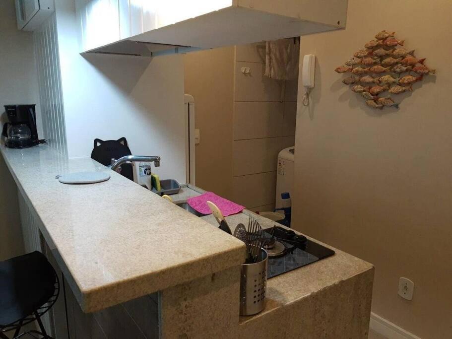 Cozy Flat In Copacabana Apartment